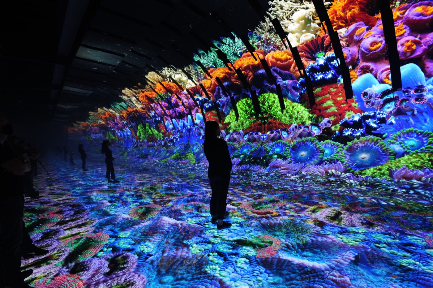Immersive LED room with floor and wall displays